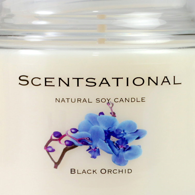 SCENTSATIONAL Black Orchid Candle Wayfair
